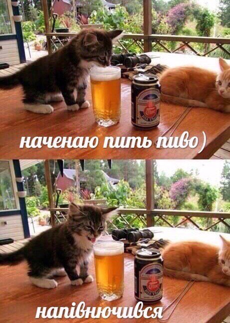 Ж наченаю пить у к Ж a.