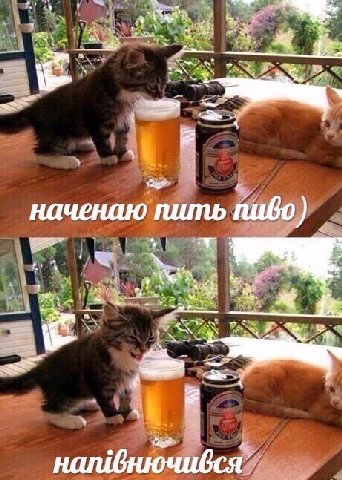 Ж наченаю пить у к Ж a.