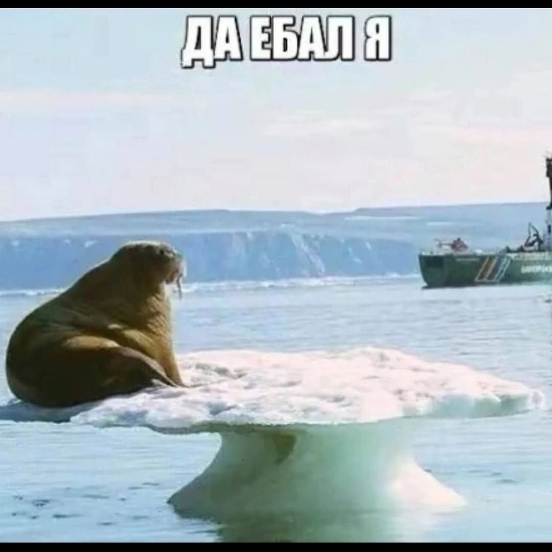 ДАТЕБАЛЯ