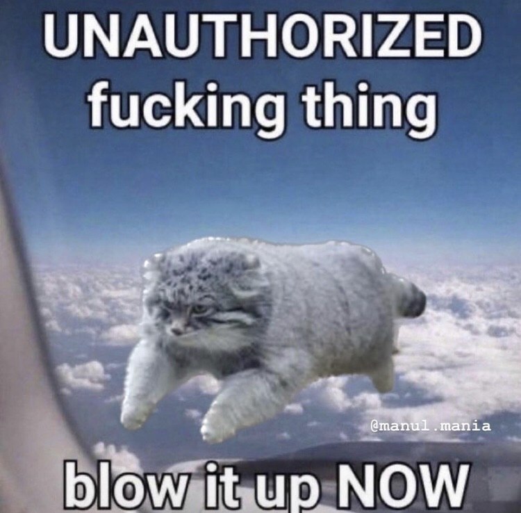 UNAUTHORIZED fucking thing blow it NOW
