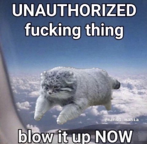 UNAUTHORIZED fucking thing blow it NOW