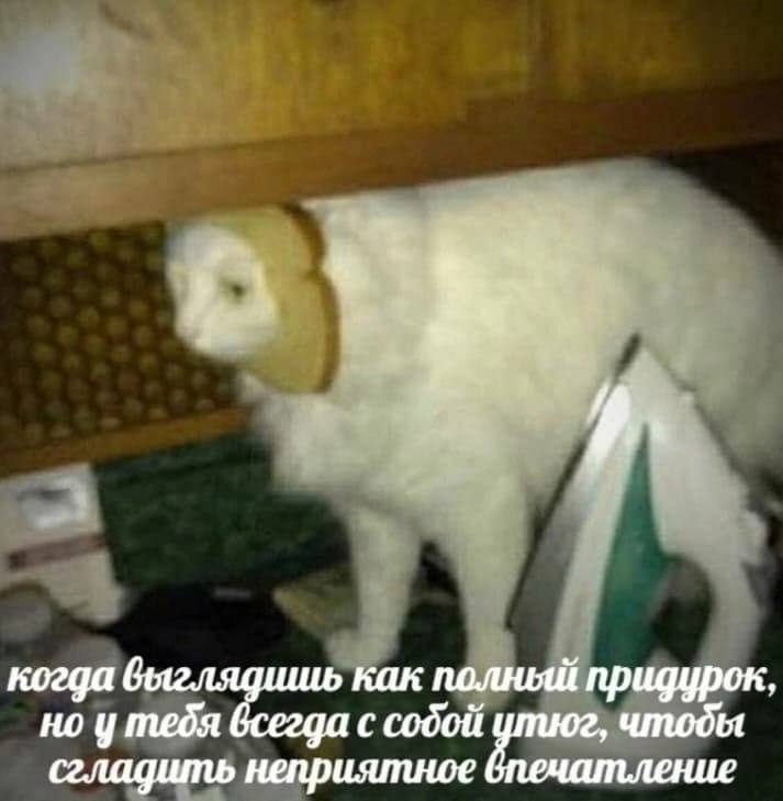 A. когда как полный придурок, но у тебя с содой сгладить неприятное чтобы