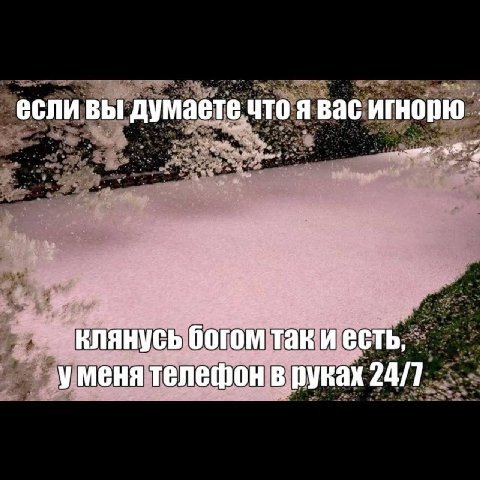 если вы думаете что я вас клянусь богом таки есть, уменя телефон в руках 24/7