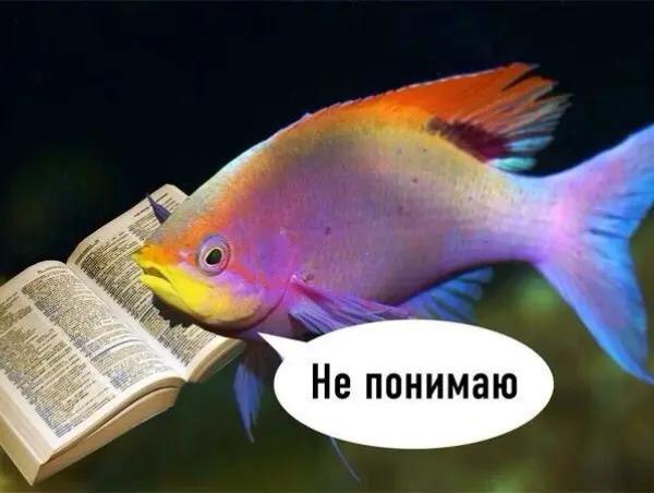 Не понимаю