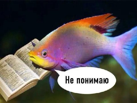 Не понимаю
