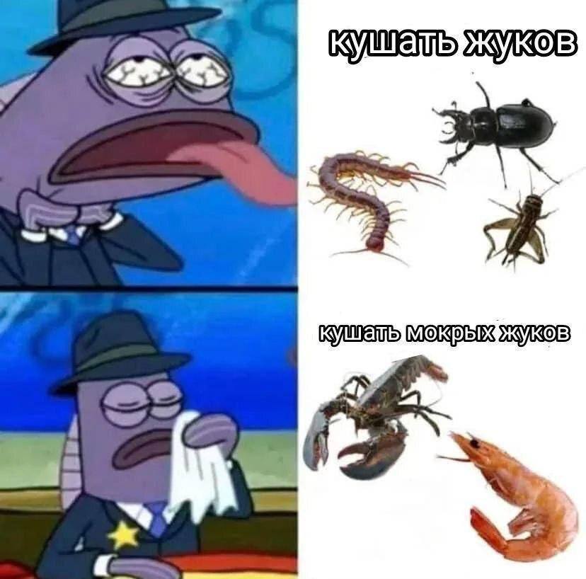 ailib KOB