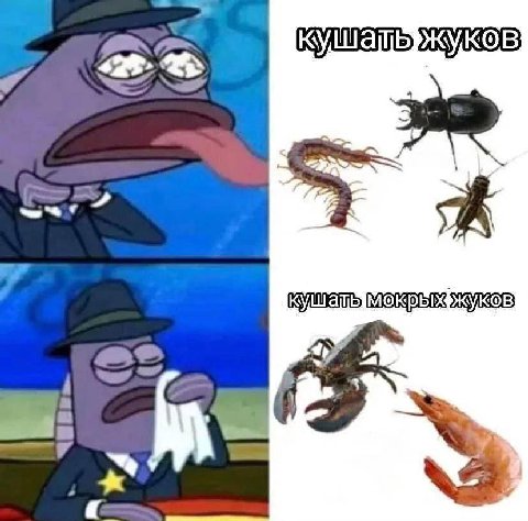 ailib KOB