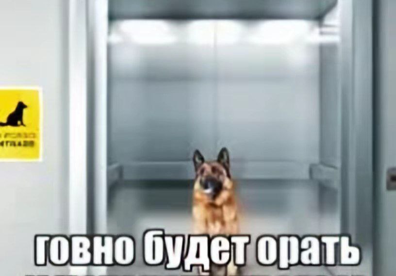 ГОВНО Arm. орат