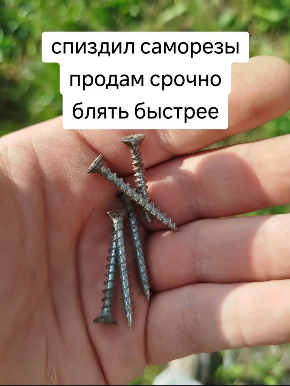 спиздил саморезы продам срочно блять быстрее