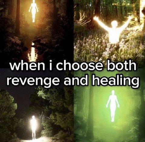 revenge and healing