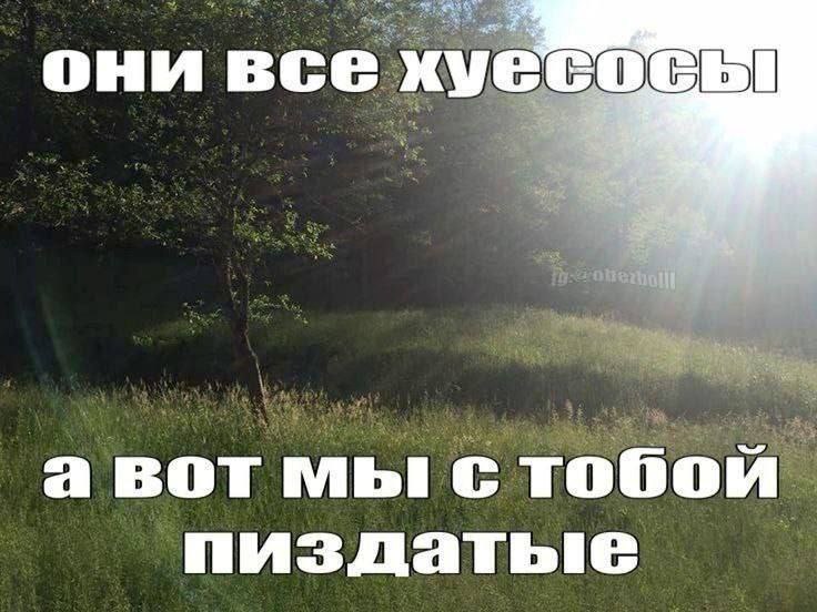 они все а вот мы с тобой пиздатые