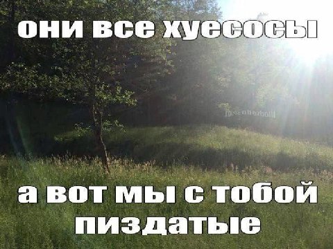 они все а вот мы с тобой пиздатые