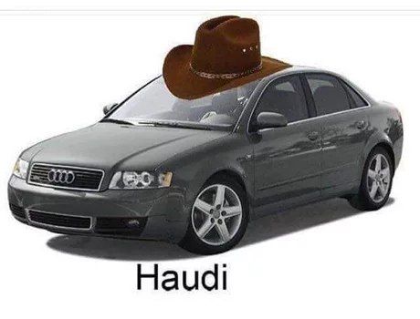 2 у Haudi