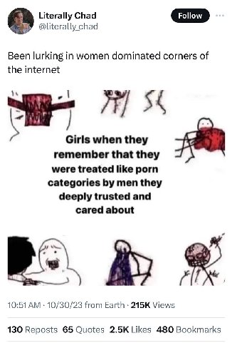 Literally Chad @literally chad Been lurking in women dominated corners of the internet Girls when they remember that they were treated like porn categories men they deeply trusted and cared about и 10