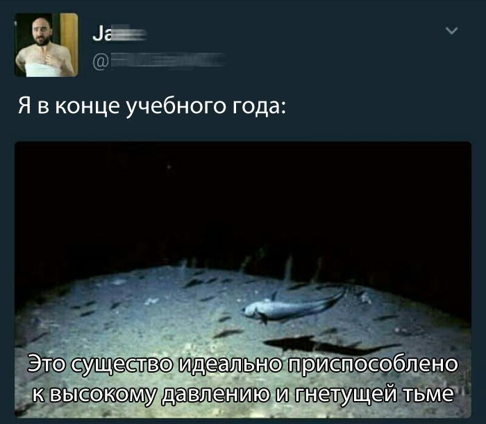 Я в конце учебного года: Это к высокомудавлению-и-гнетущей тьме у