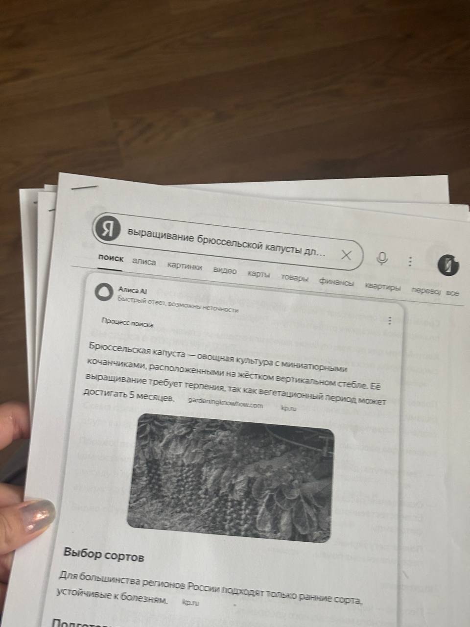 мне принесли и положили на стол папочки.