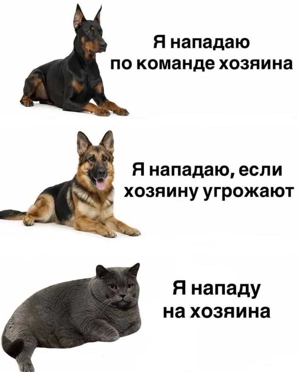 Я нападаю по команде хозяина Я нападаю, если хозяину угрожают Я нападу на хозяина