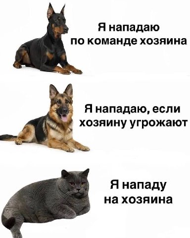 Я нападаю по команде хозяина Я нападаю, если хозяину угрожают Я нападу на хозяина