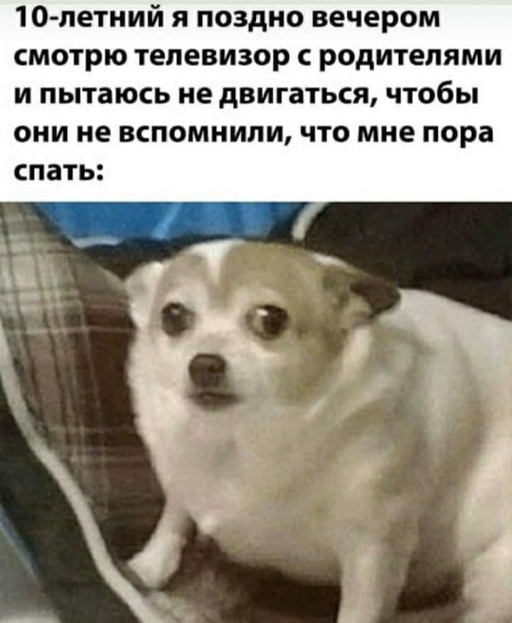 10-летний я поздно вечером смотрю телевизор с родителями и пытаюсь не двигаться, чтобы они не вспомнили, что мне пора спать: