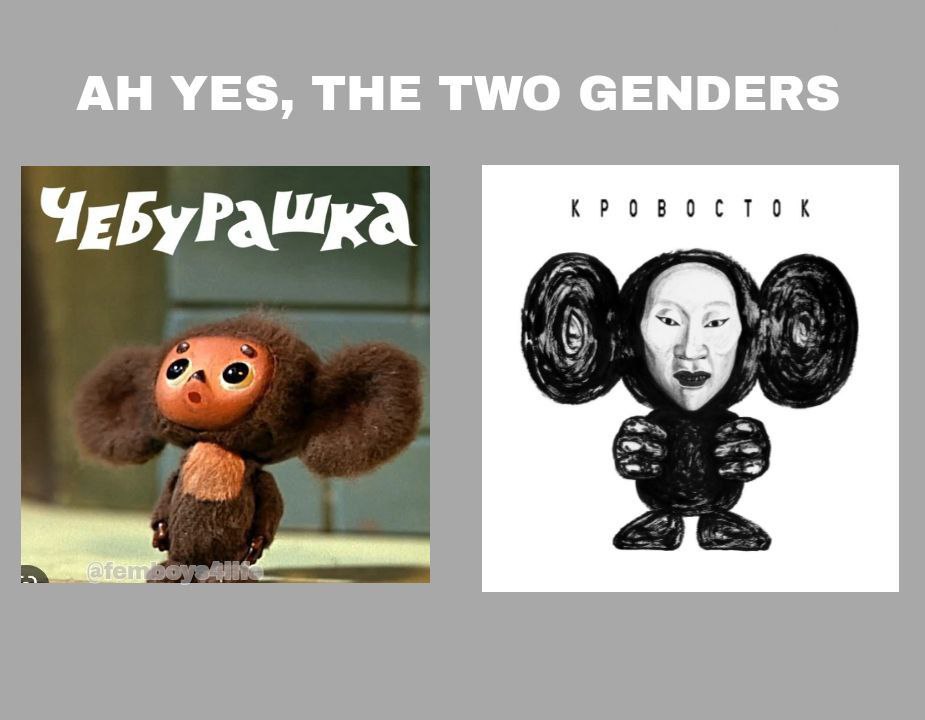 YES, THE TWO GENDERS ЧЕБУРАШКА KPOBOCTOR