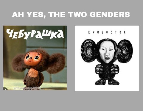 YES, THE TWO GENDERS ЧЕБУРАШКА KPOBOCTOR
