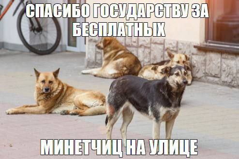 СПА ПЛАТНЫХ УЛИЦЕ