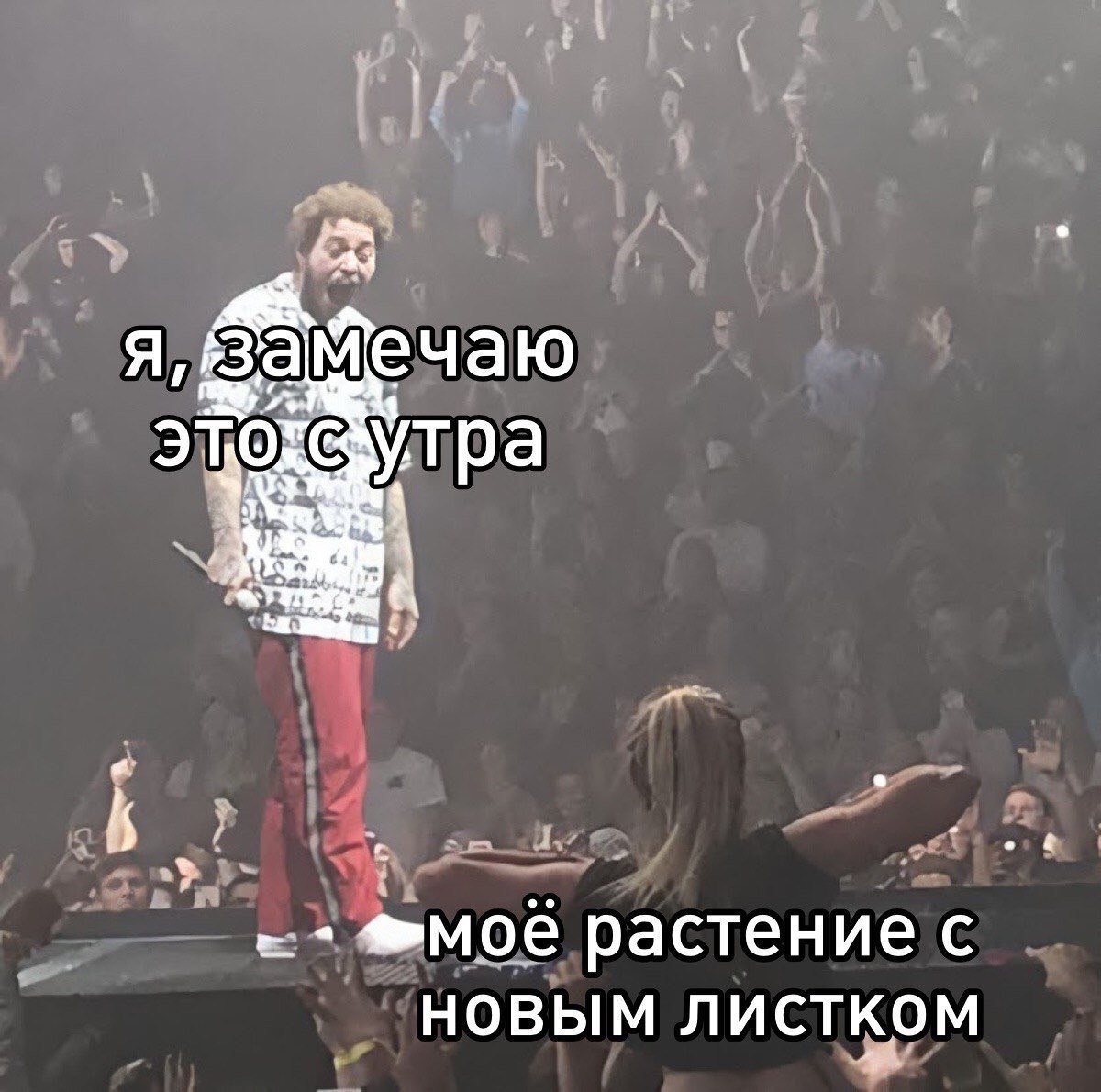 ми