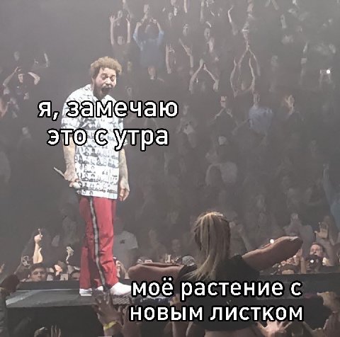 ми