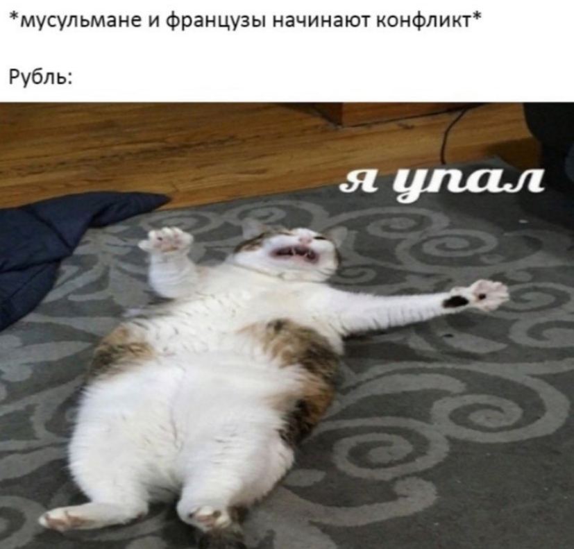 мусульмане и французы начинают конфликт* Рубль: я