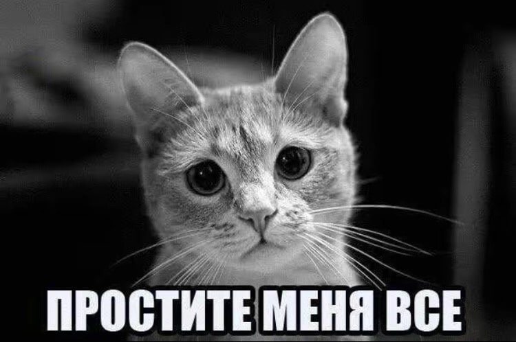 ПРОСТИТЕ МЕНЯ ВСЕ