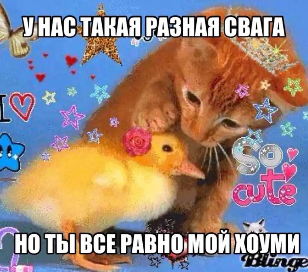 ТАКАЯ РАЗНАЯ СВАГА pet a “a a ВСЕ РАВНО, МОЙ: