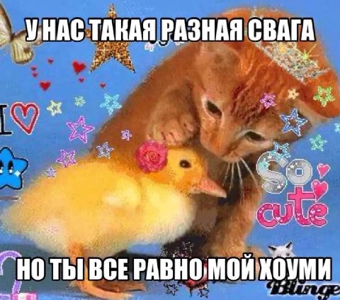 ТАКАЯ РАЗНАЯ СВАГА pet a “a a ВСЕ РАВНО, МОЙ: