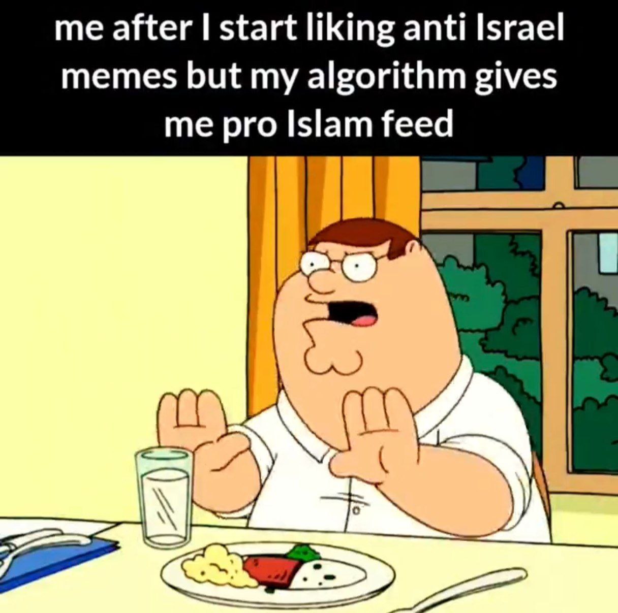 me after start liking anti Israel memes but my algorithm gives me pro Islam feed