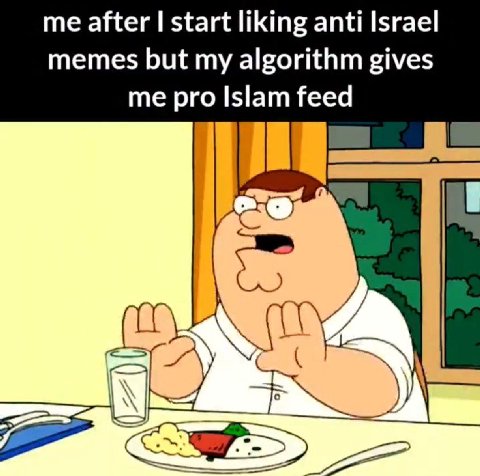 me after start liking anti Israel memes but my algorithm gives me pro Islam feed