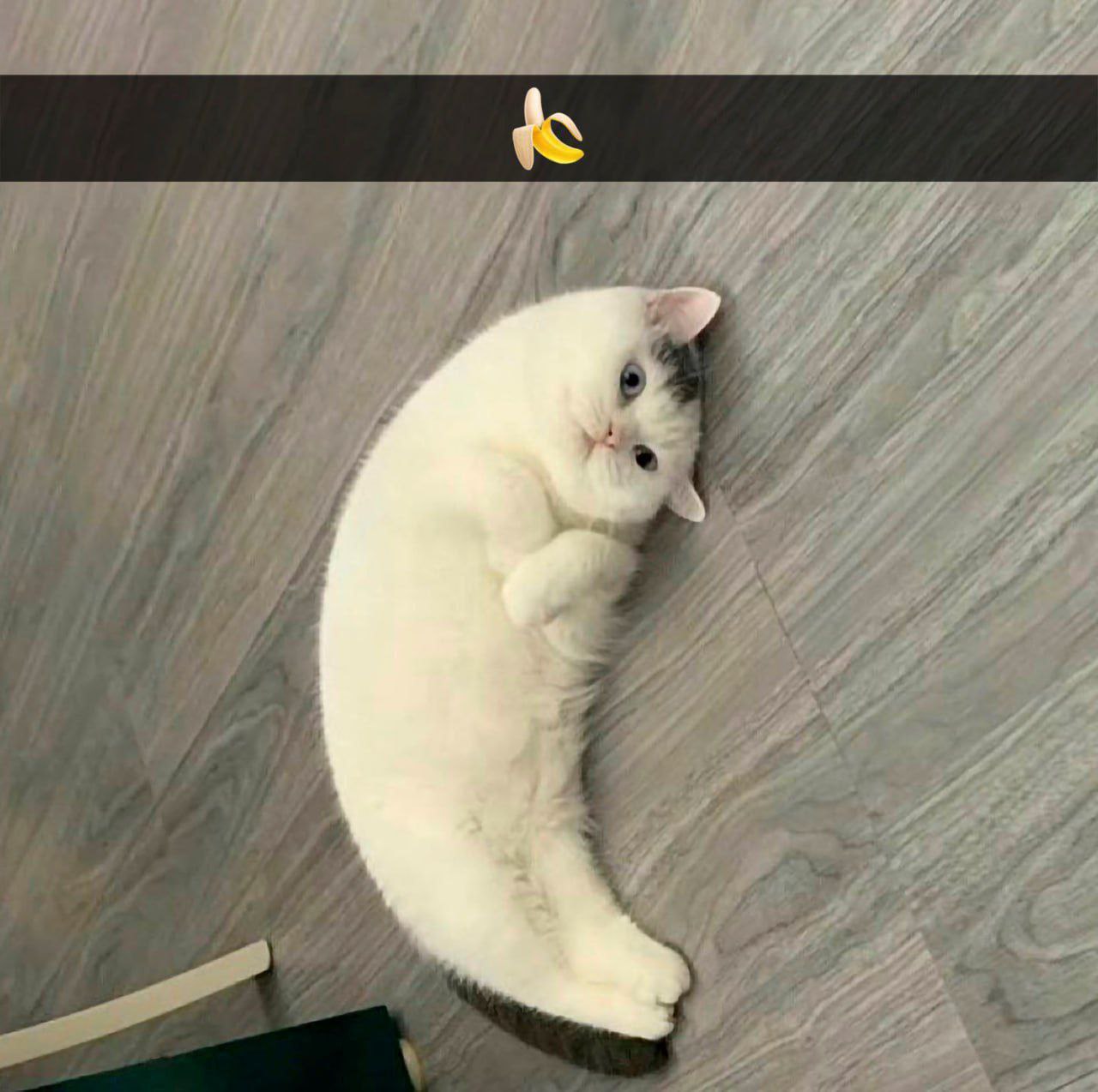 9 4