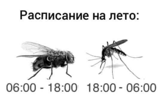 Расписание на лето: 06:00 18:00 18:00-06:00