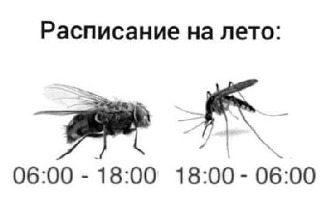 Расписание на лето: 06:00 18:00 18:00-06:00