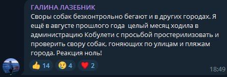 Галина, подскажите, а у них был ельфбар 3000 во рту?