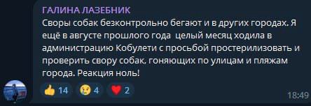 Галина, подскажите, а у них был ельфбар 3000 во рту?