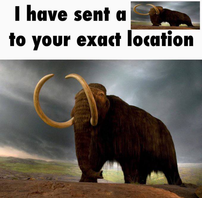 have sent a your exact location
