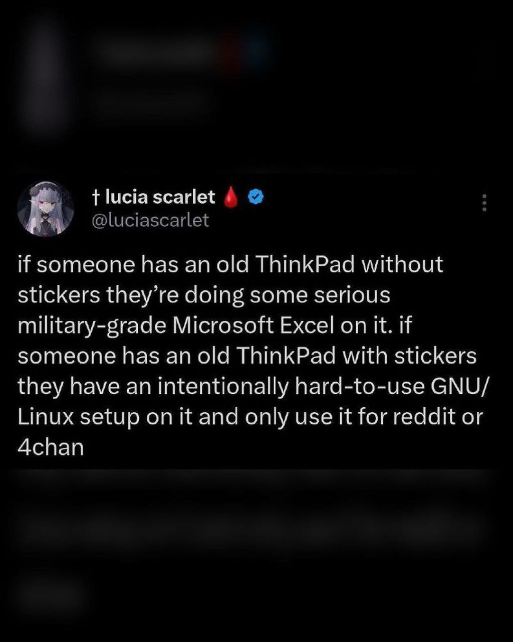 lucia scarlet if someone has an old ThinkPad without stickers they’re doing some serious military-grade Microsoft Excel on it. if someone has an old ThinkPad with stickers they have an intentionally h