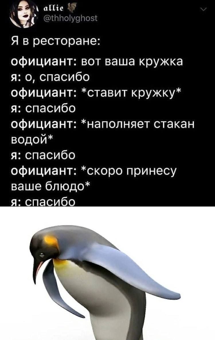 allie @thholyghost Я в ресторане: официант: вот ваша кружка я: о, спасибо официант: *ставит кружку* я: спасибо официант: *наполняет стакан водой* я: спасибо официант: *скоро принесу ваше блюдо* я: спа