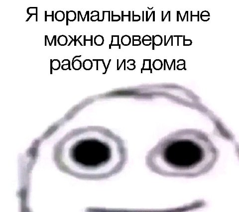 Я нормальный и мне можно доверить работу из дома