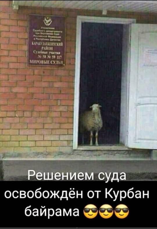 Решением суда освобождён от Курбан байрама
