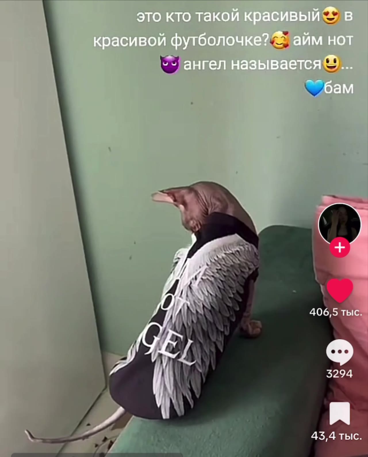 это кто такой красивый в красивой футболочке? айм нот ангел называется