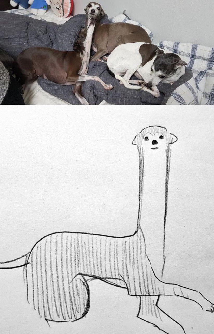 я 7 я