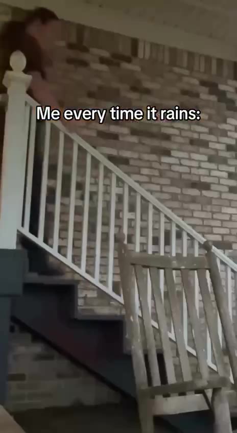 Mefeverygtime it rains: Me every timentuains-s 7 Меемегу timejitirains: =