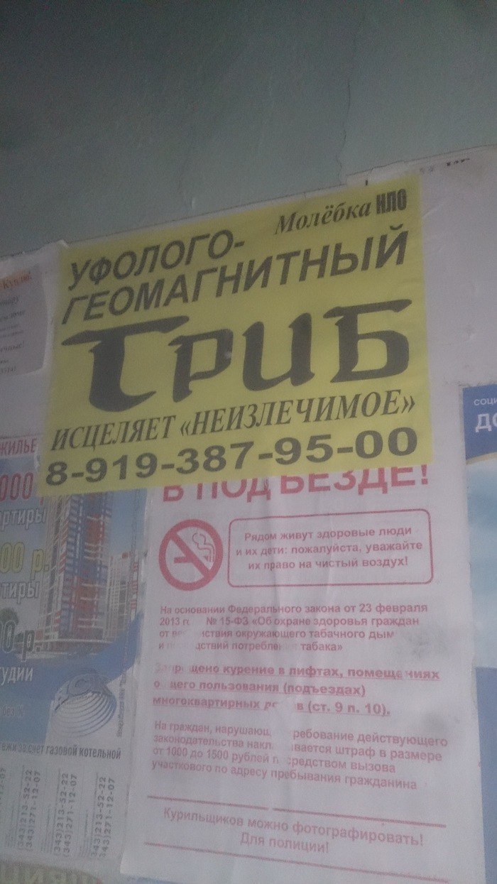 ind, живут люди и: пожалуйста, на чёстый воздух! ore закона от 23 здоровья гоЗабачного дым. тах, помеще чиях 4 в ребование дейст макл. вается раф в размере. средством вызова гражданина Фировать