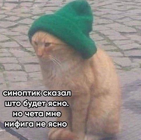синоптик сказал што будет ясно. но чета мне нифига не ясно