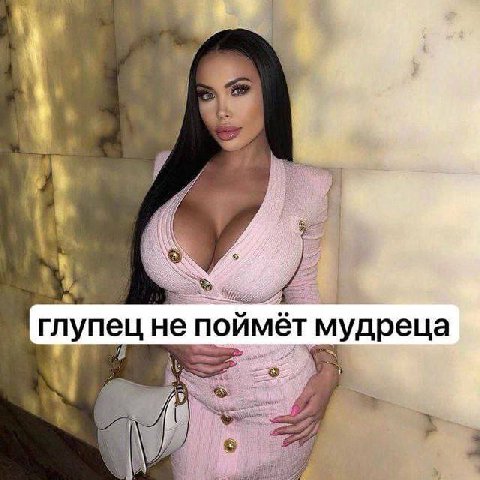 глупец не поймёт мудреца
